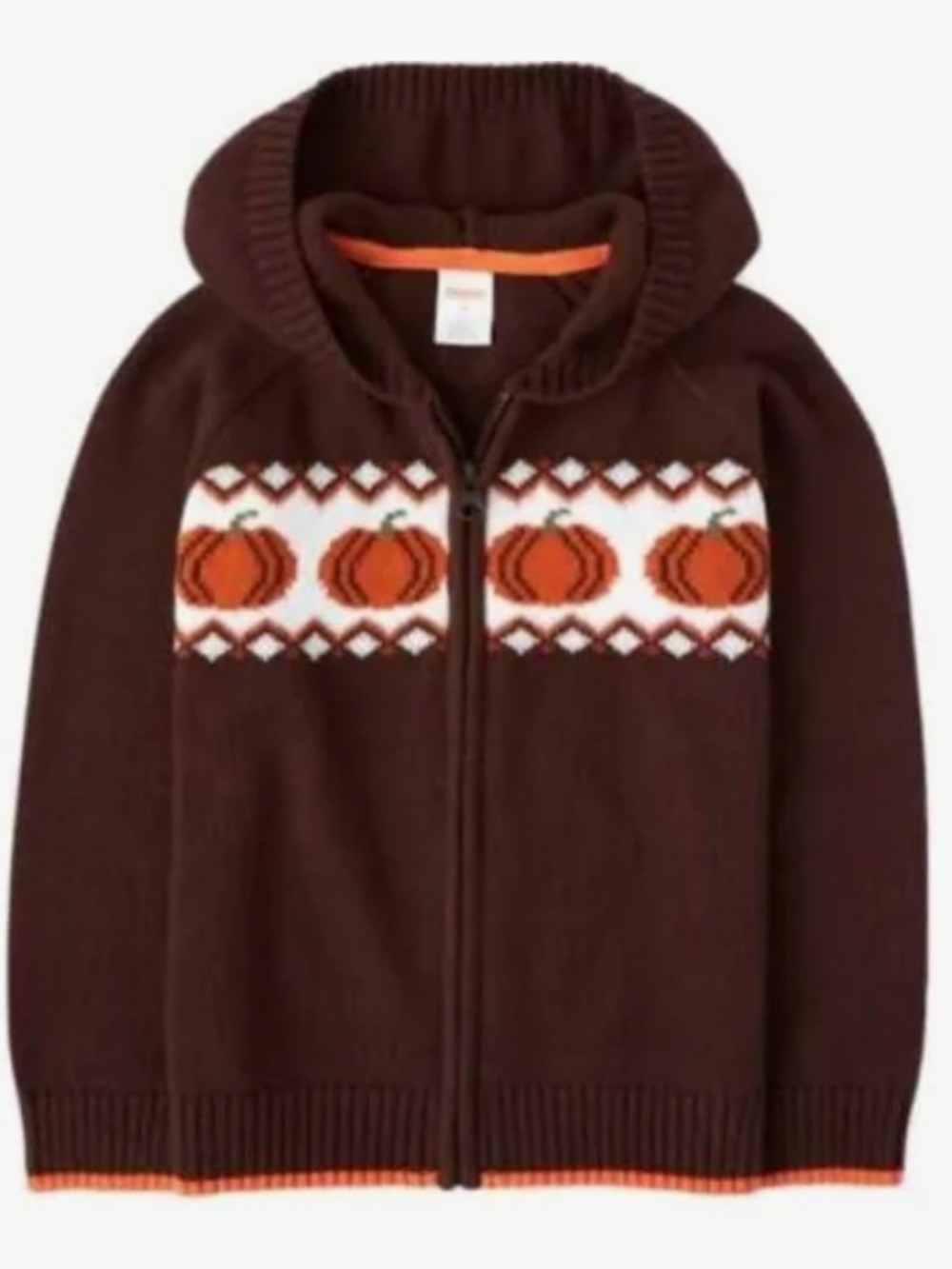 Gymboree Pumpkin Zip up Sweater